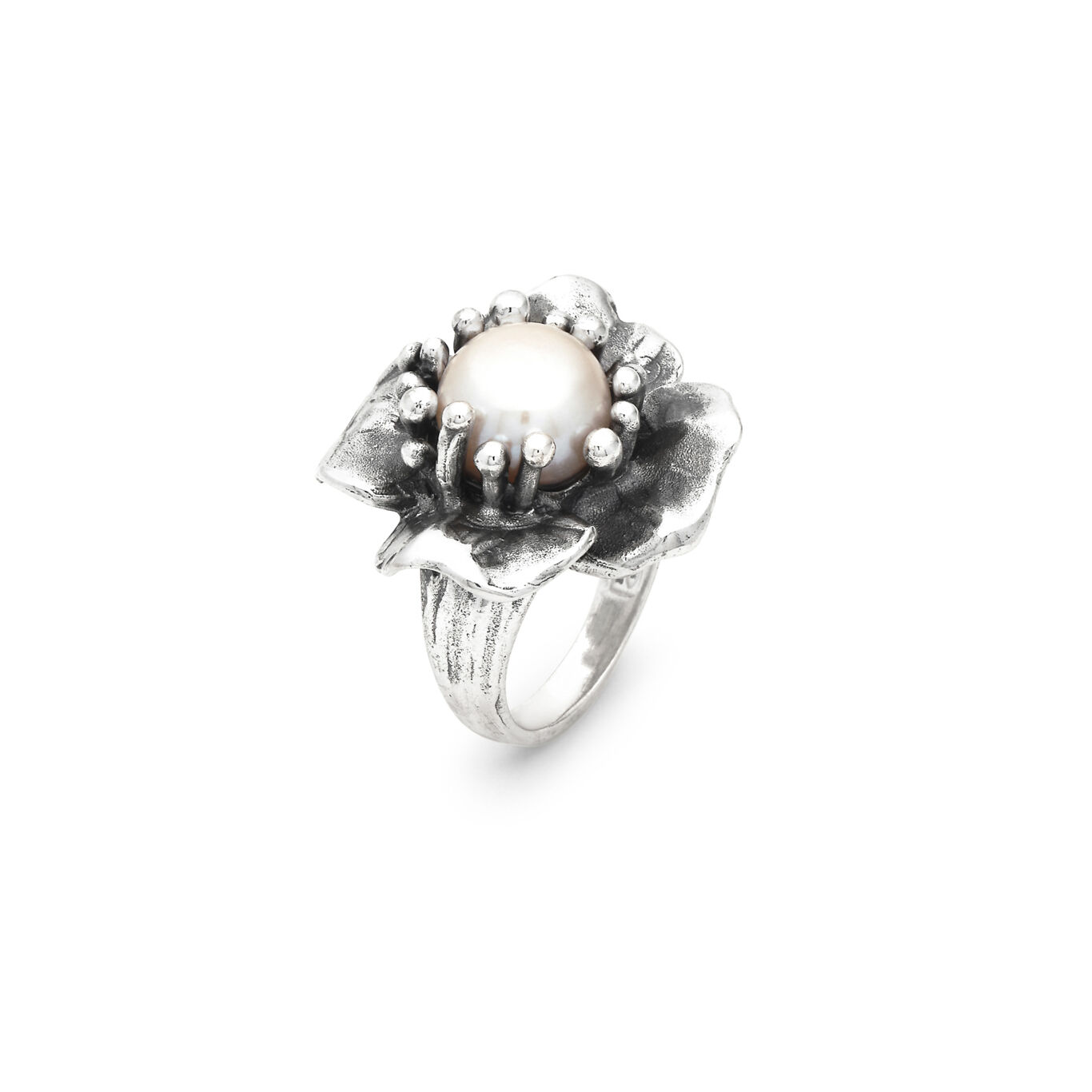 Ring Magnolie