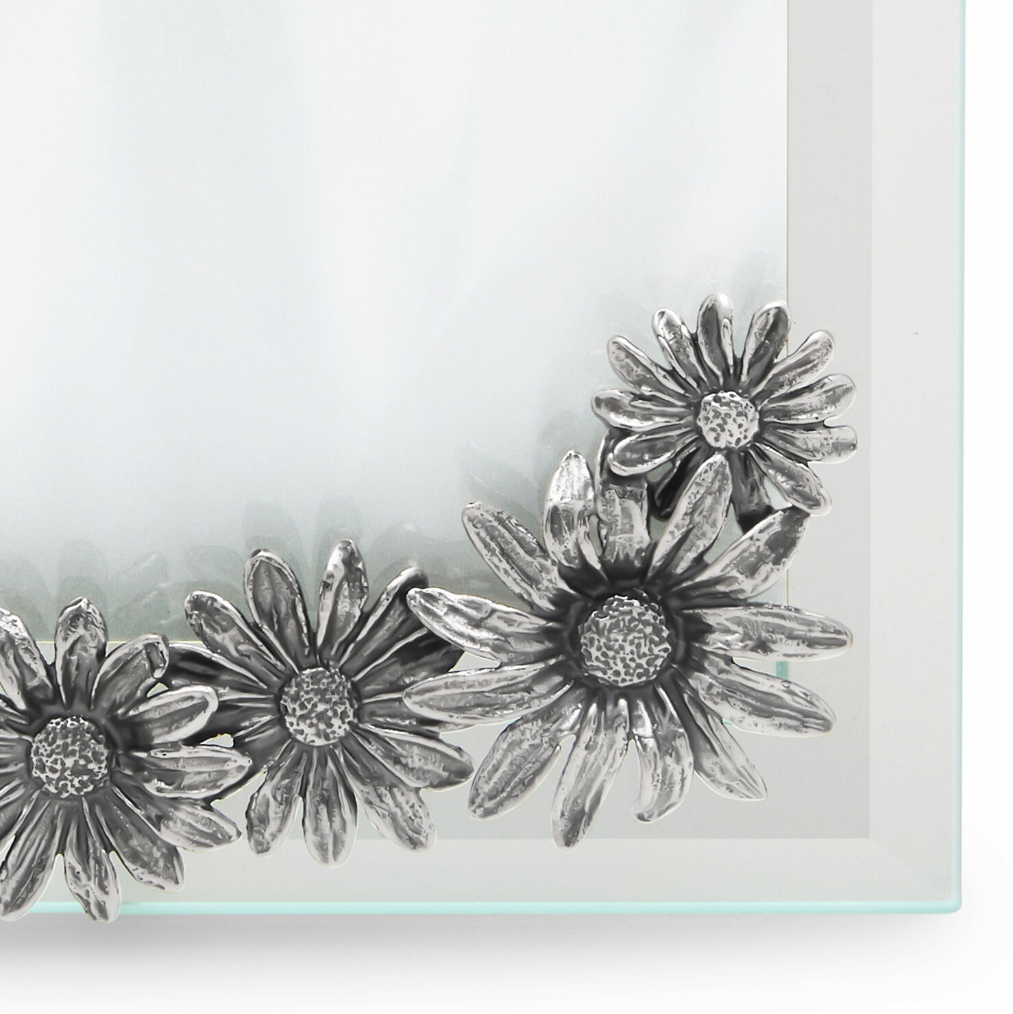 Daisies Large Light Frame image number 10