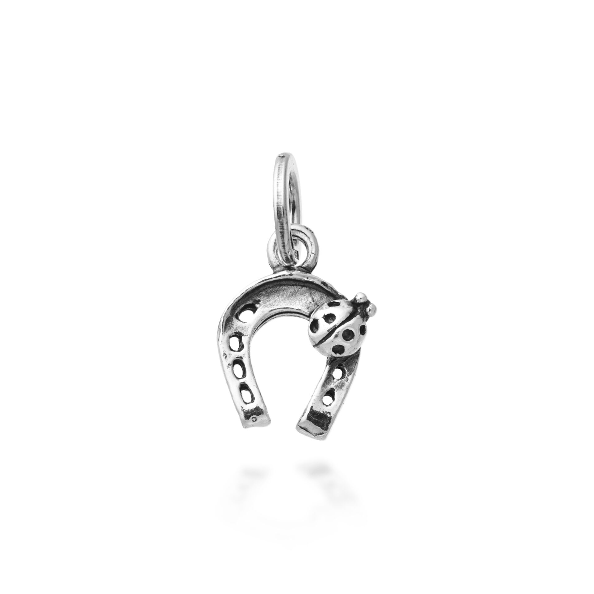 Horshoe Ladybug Charm image number 0