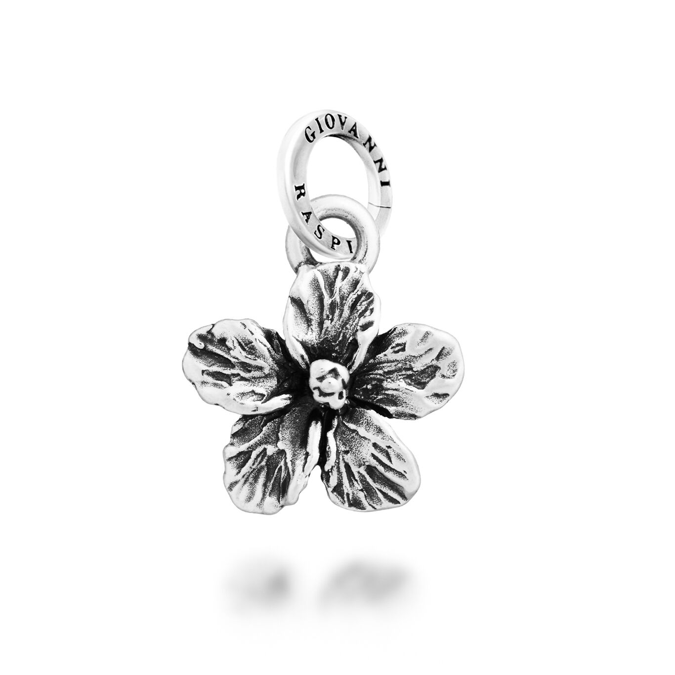 Hibiscus Charm
