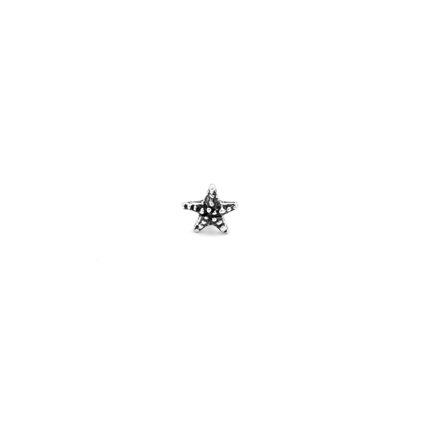 Mini Starfish Earrings